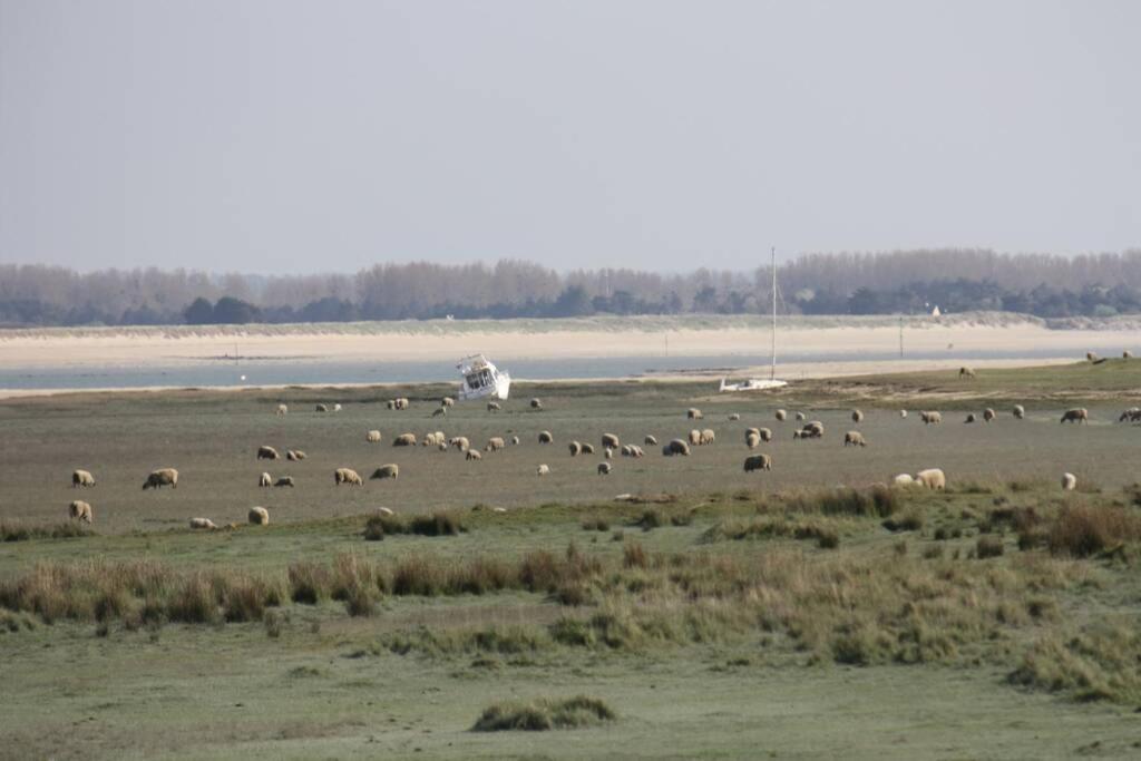 Gite Ouest De La Pointe D'Agon Exterior foto